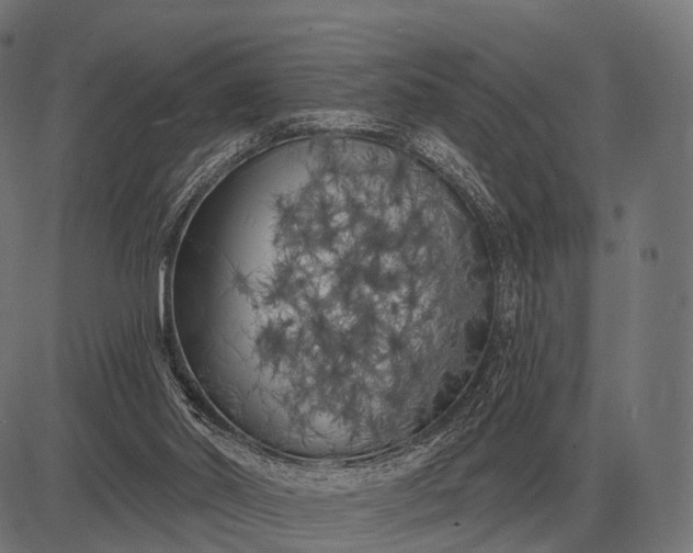 X0000082730014200702091849