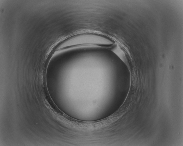 X0000082730015200702091849