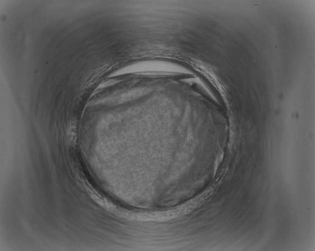 X0000082730017200702091849