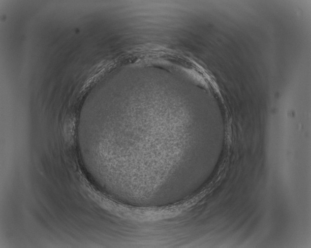 X0000082730018200702091849