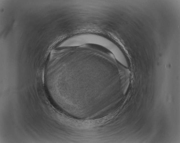 X0000082730019200702091849