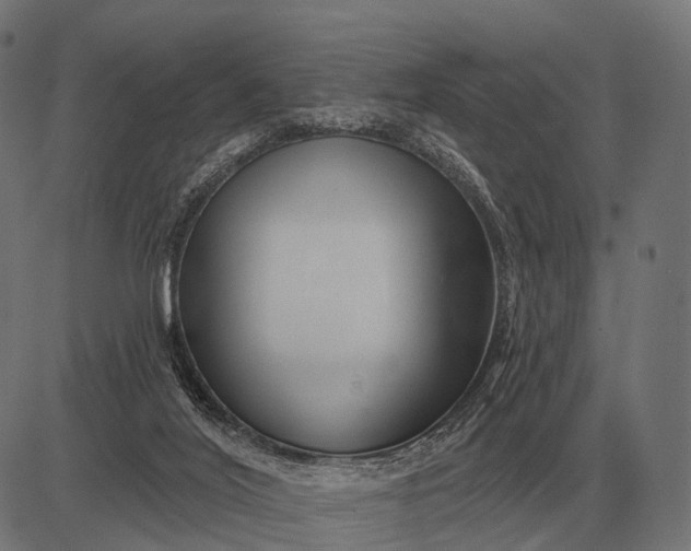 X0000082730020200702091849