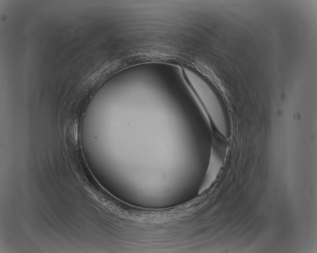 X0000082730021200702091849