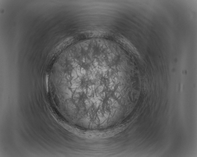 X0000082730022200702091849