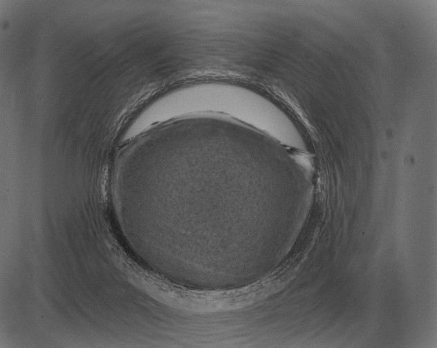 X0000082730023200702091849