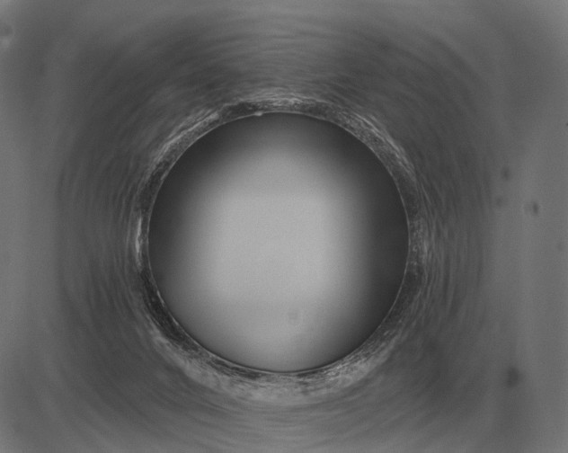 X0000082730024200702091849