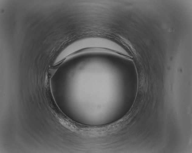 X0000082730025200702091849