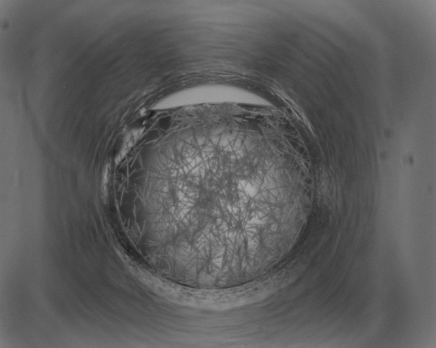 X0000082730026200702091849