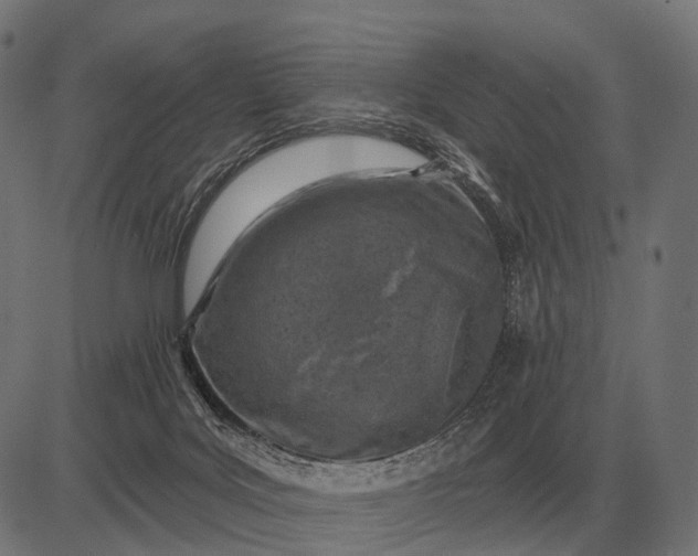 X0000082730027200702091849