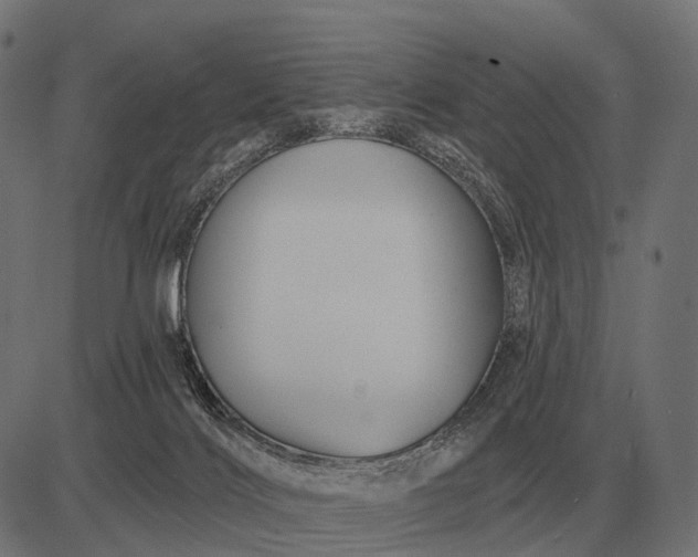 X0000082730028200702091849