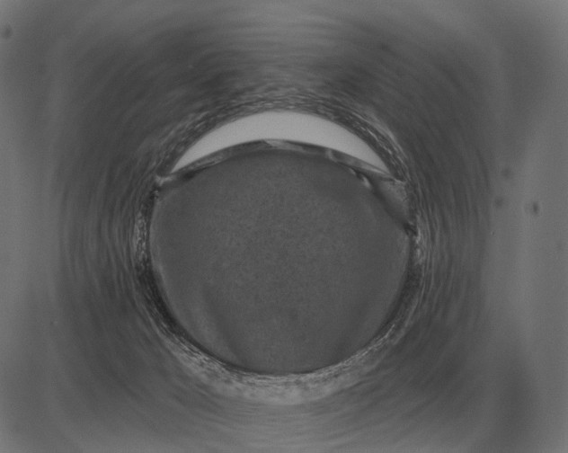 X0000082730029200702091849