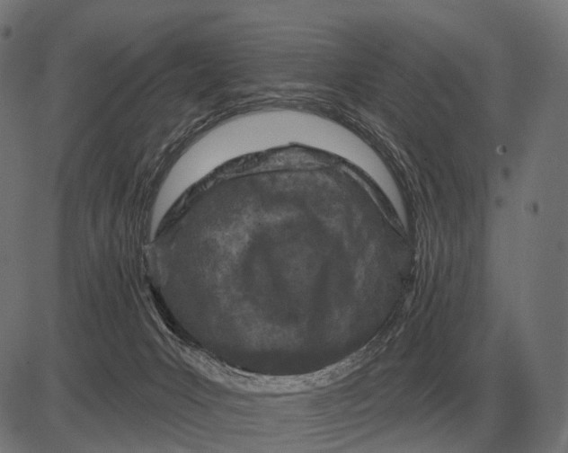 X0000082730031200702091849