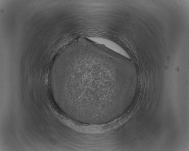 X0000082730032200702091849