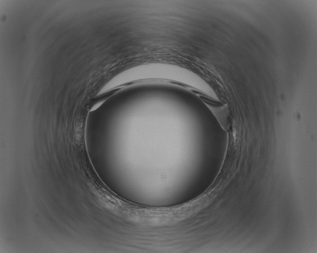 X0000082730033200702091849