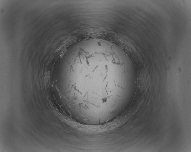 X0000082730034200702091849