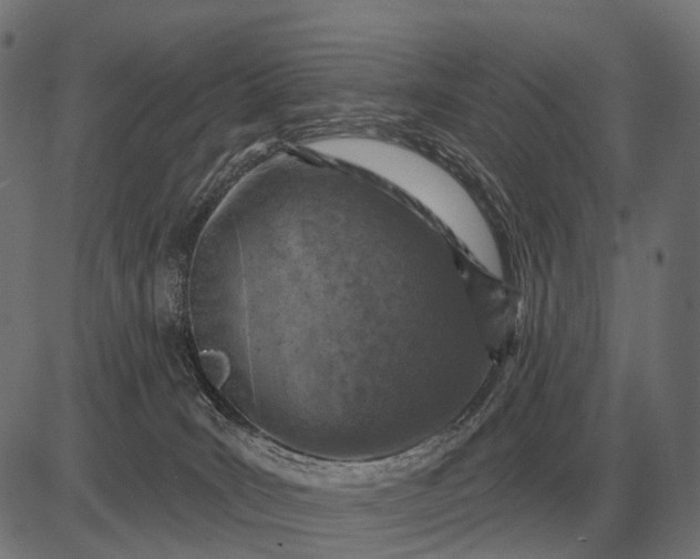 X0000082730035200702091849