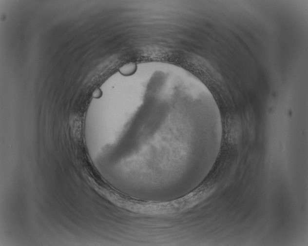 X0000082730036200702091849