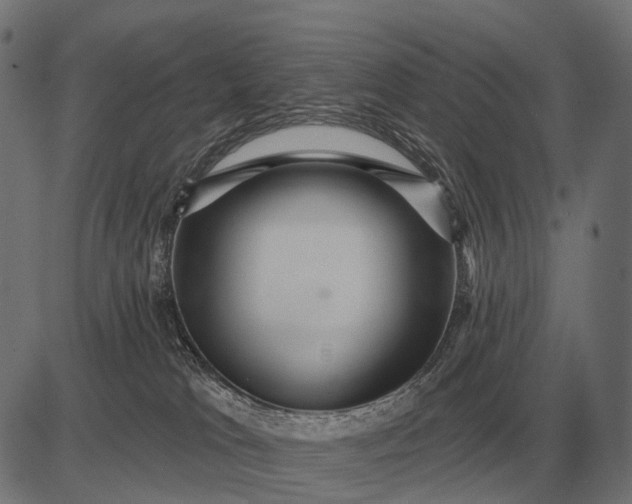 X0000082730037200702091849