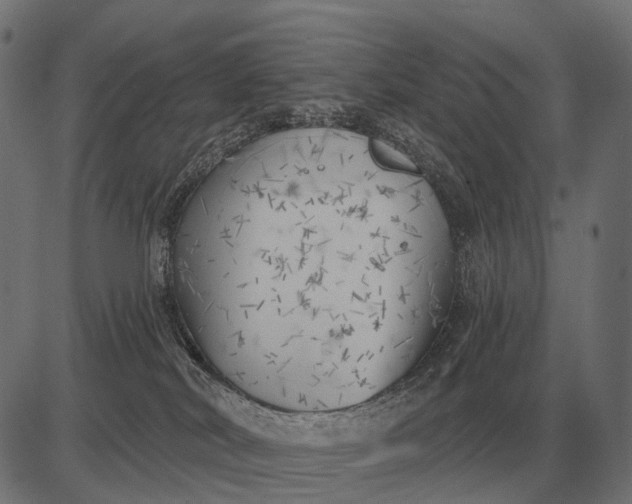 X0000082730038200702091849