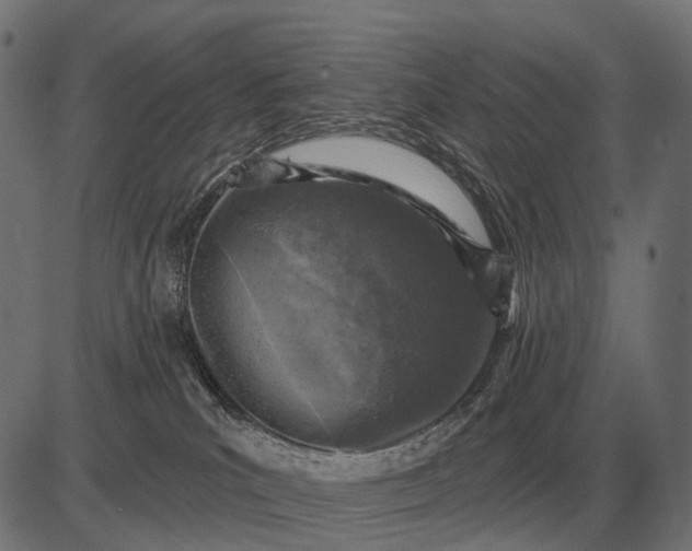 X0000082730039200702091849