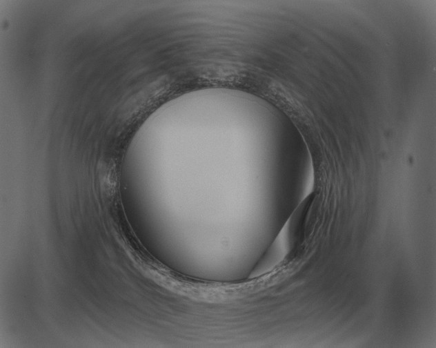 X0000082730040200702091849