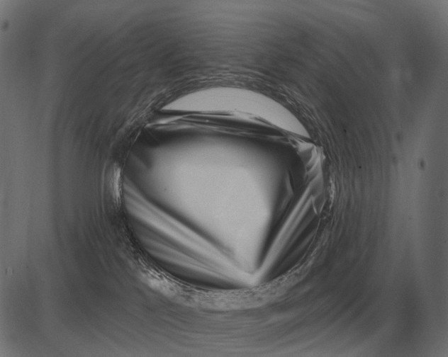 X0000082730041200702091849