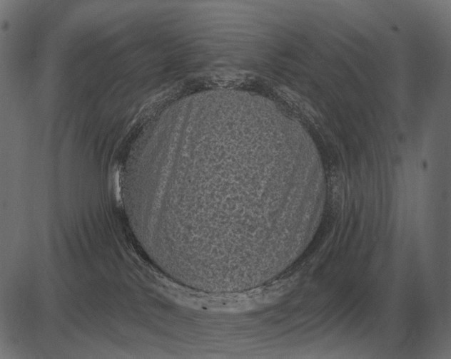 X0000082730042200702091848