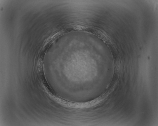 X0000082730043200702091848