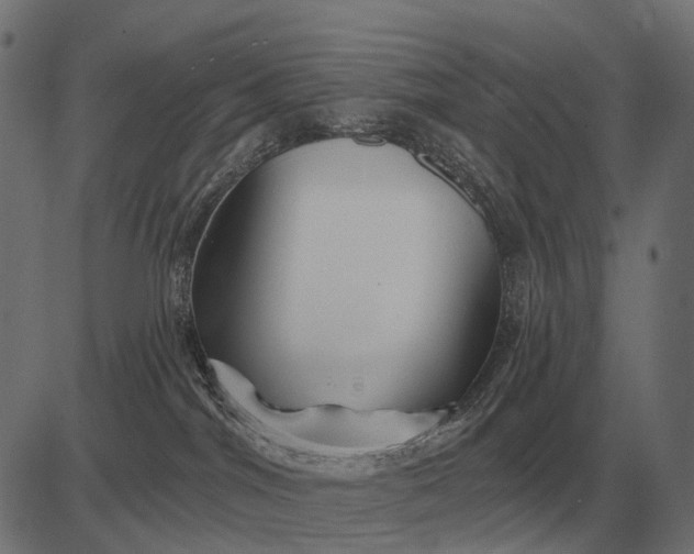 X0000082730044200702091848