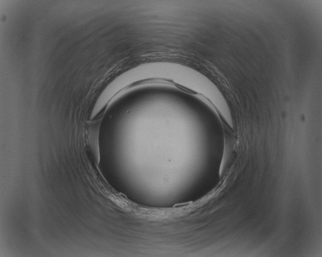 X0000082730045200702091848