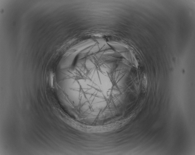 X0000082730046200702091848