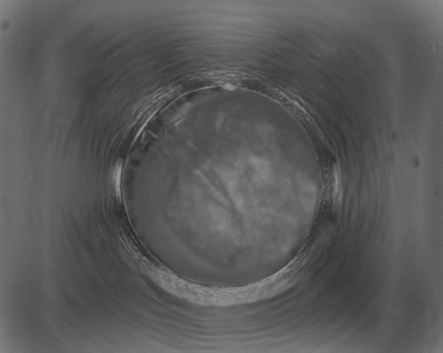 X0000082730047200702091848