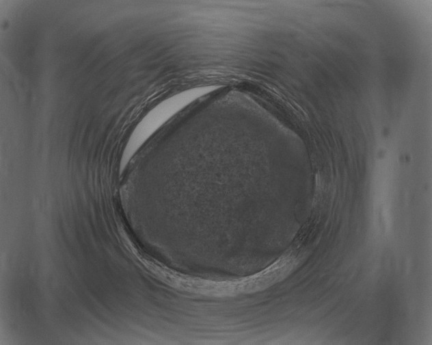 X0000082730048200702091848