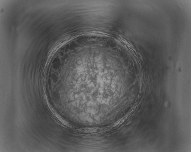 X0000082730049200702091848