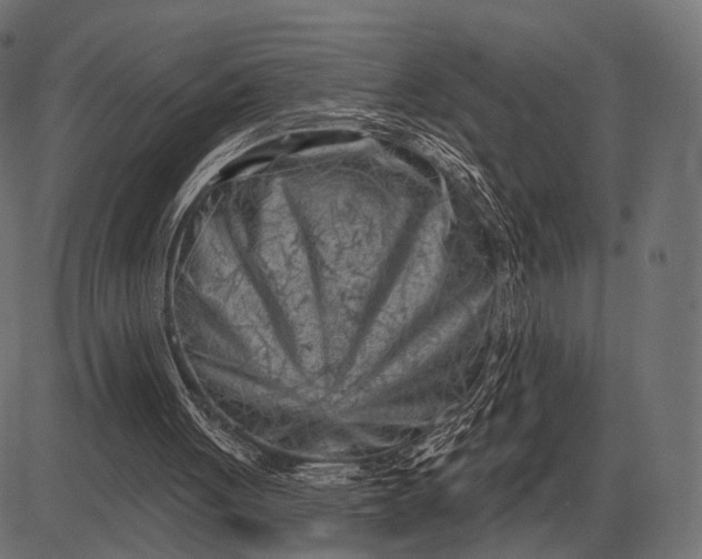 X0000082730051200702091848