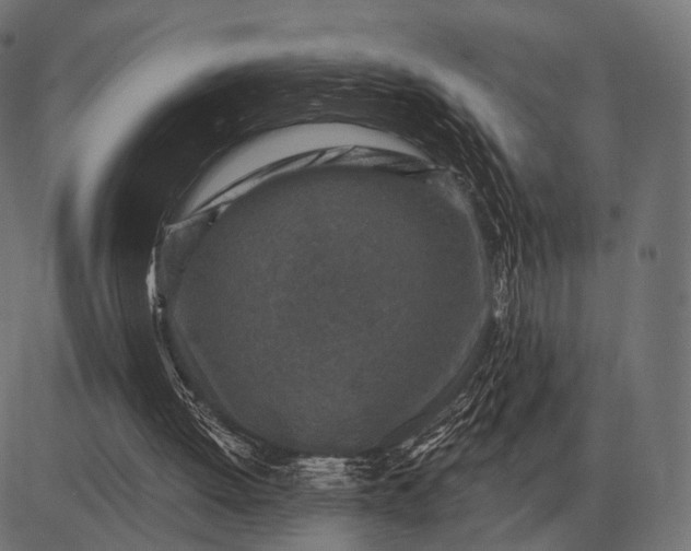 X0000082730052200702091848