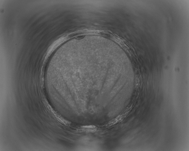 X0000082730053200702091848