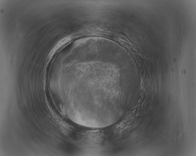 X0000082730054200702091848