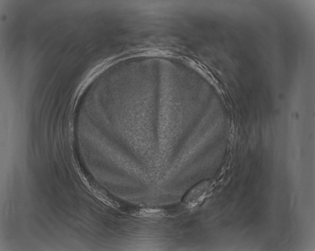 X0000082730055200702091848