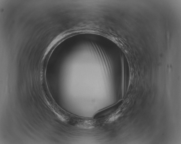 X0000082730056200702091848