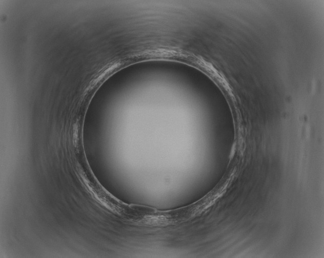 X0000082730057200702091848