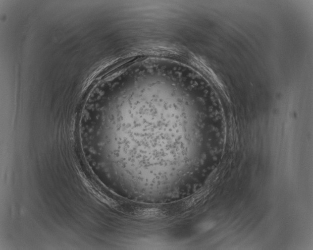 X0000082730058200702091848