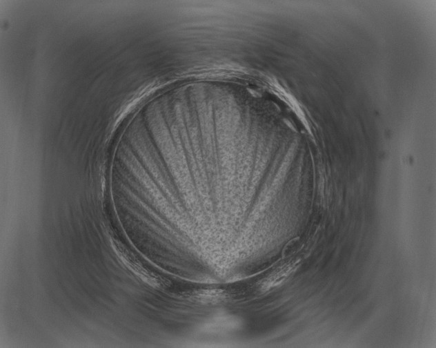 X0000082730059200702091848