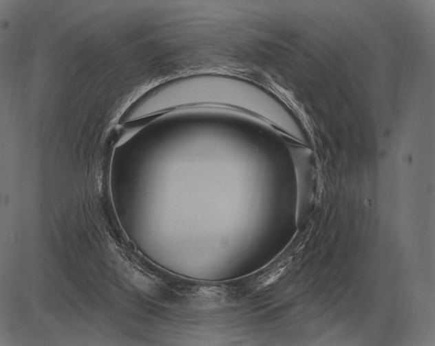 X0000082730060200702091848