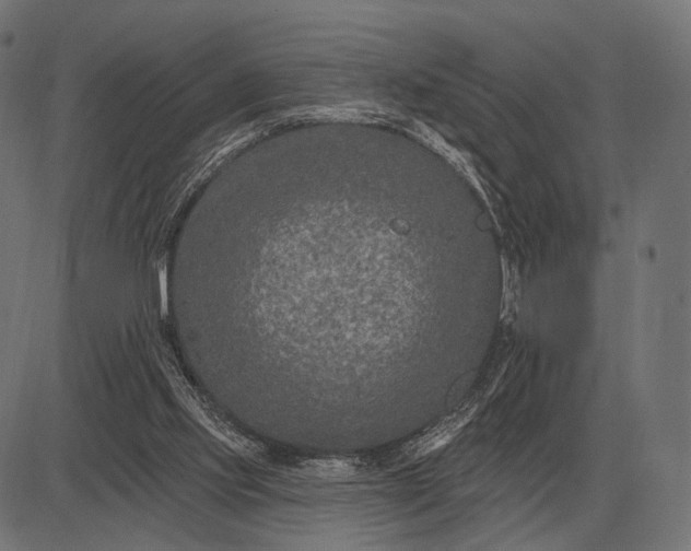 X0000082730061200702091848