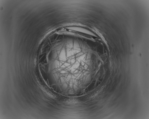 X0000082730063200702091848