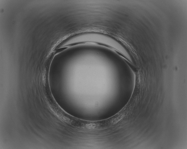 X0000082730064200702091848