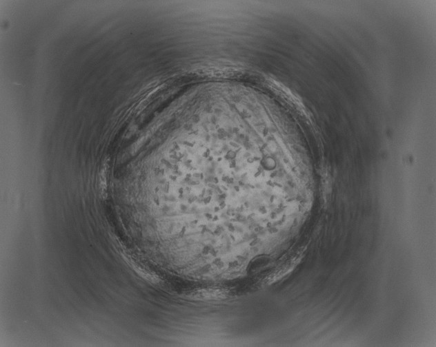 X0000082730065200702091848