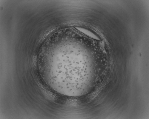 X0000082730066200702091848