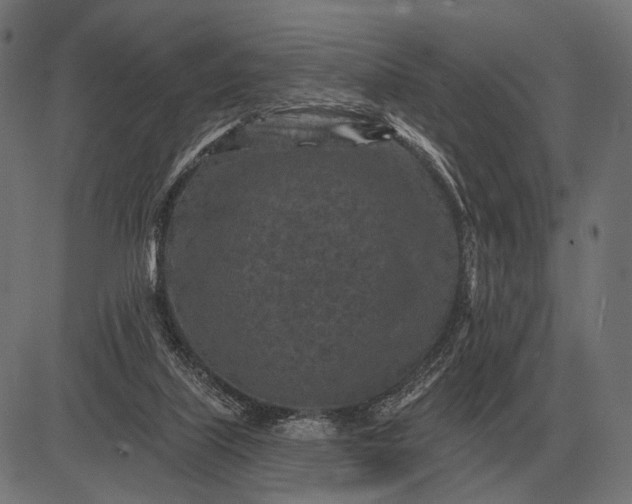 X0000082730067200702091848